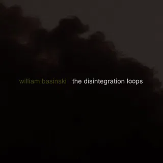 The Disintegration Loops
