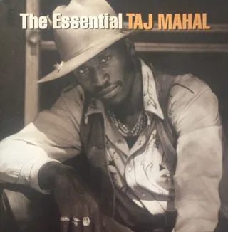 The Essential Taj Mahal