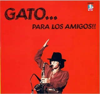 Gato... Para Los Amigos!!
