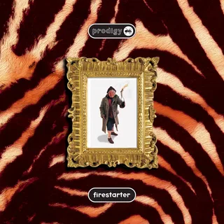 Firestarter (Andy C Remix)