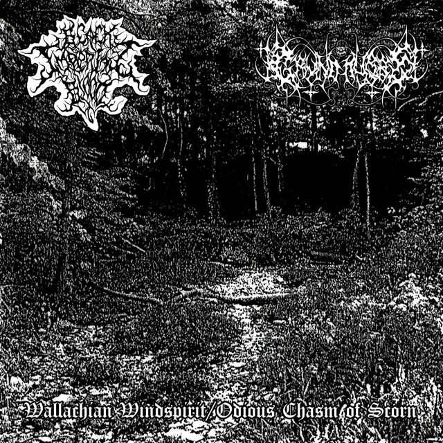 Wallachian Windspirit / Odious Chasm of Scorn