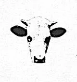 Cattle Records