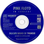 In Concert - Delicate Sound Of Thunder - Foto 3 de 11