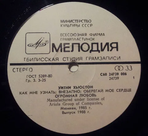 Уитни Хьюстон - Foto 3 de 4