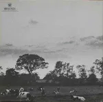 Atom Heart Mother - Foto 2 de 6