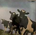 Atom Heart Mother - Foto 3 de 5