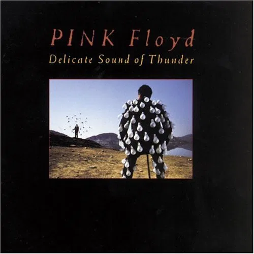 Delicate Sound Of Thunder