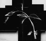 Out Of Time - Foto 5 de 13