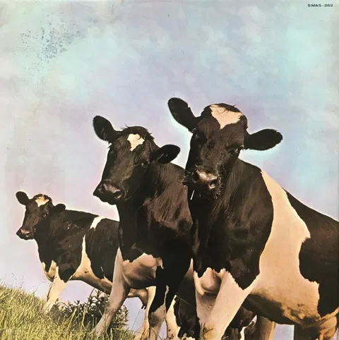 Atom Heart Mother - Foto 3 de 5