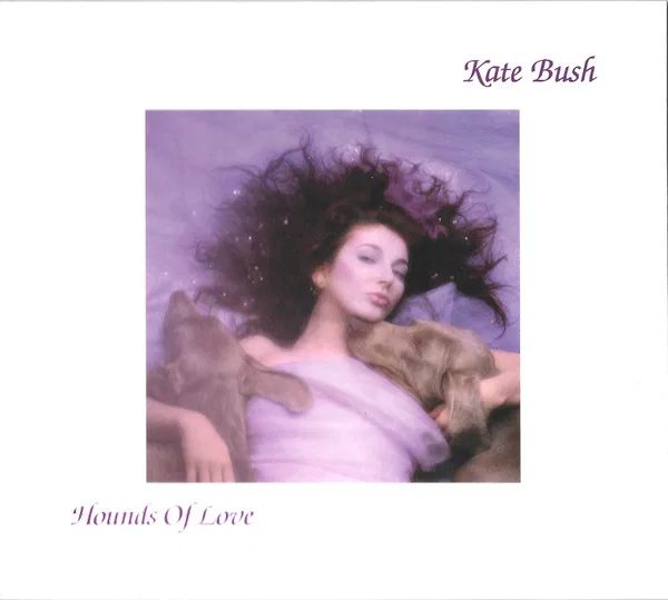 Hounds Of Love