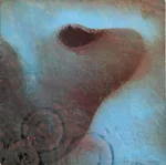 Meddle - Foto 1 de 6