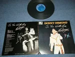To You With Love, Donny - Foto 3 de 9