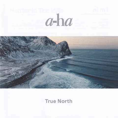 True North