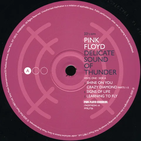 Delicate Sound Of Thunder - Foto 3 de 47