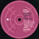 Delicate Sound Of Thunder - Foto 4 de 47