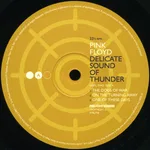 Delicate Sound Of Thunder - Foto 5 de 47