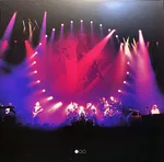 Delicate Sound Of Thunder - Foto 9 de 47