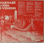 Clara Crocodilo - Foto 4 de 6