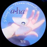 Stay On These Roads - Foto 4 de 6