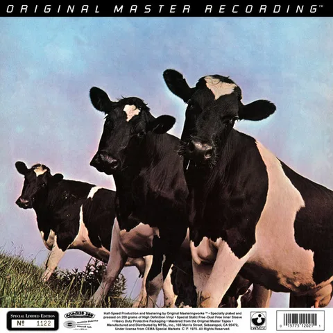 Atom Heart Mother - Foto 2 de 10