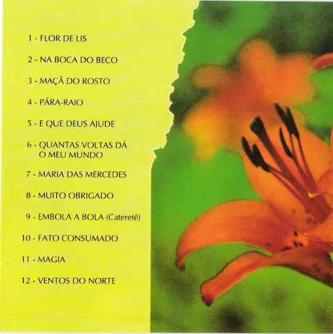 A Voz E O Violão - Foto 2 de 5