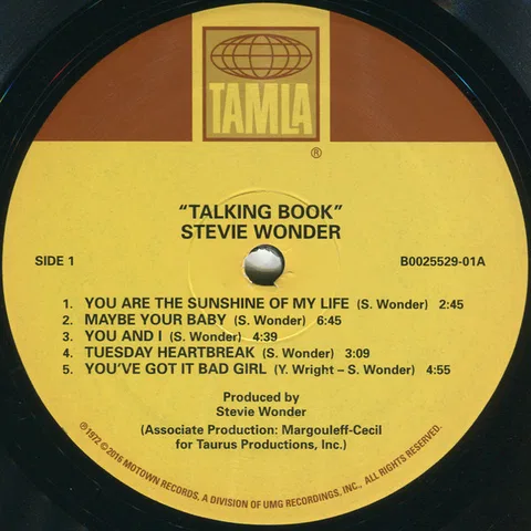 Talking Book - Foto 3 de 4