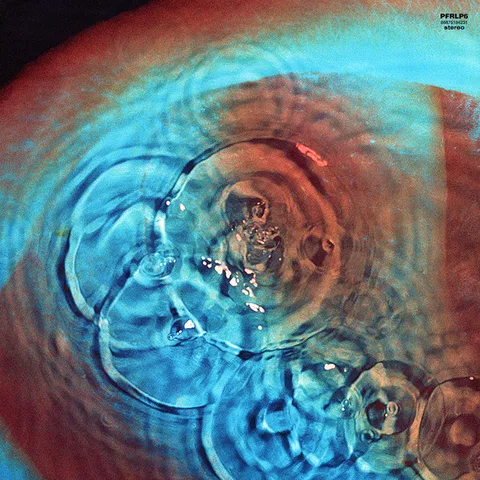 Meddle - Foto 3 de 9