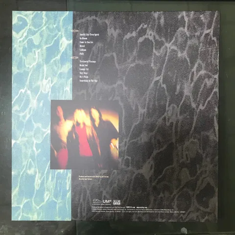 Nevermind 30th Anniversary Edition - Foto 2 de 14
