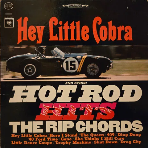 Hey Little Cobra