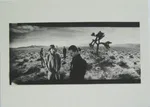 The Joshua Tree - Foto 5 de 21
