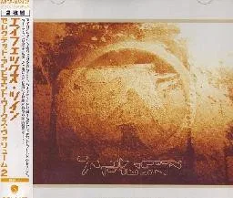 Selected Ambient Works, Volume II