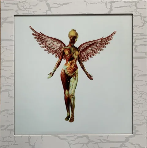 In Utero