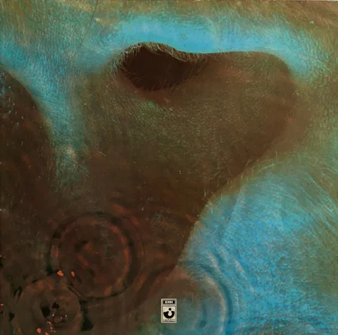 Meddle