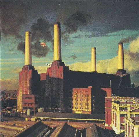 Animals