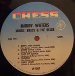 Muddy, Brass & The Blues - Foto 4 de 4