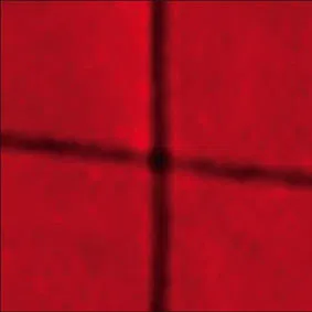 A Red Score in Tile
