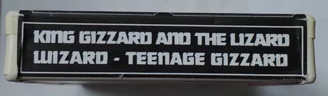 Teenage Gizzard - Foto 3 de 5