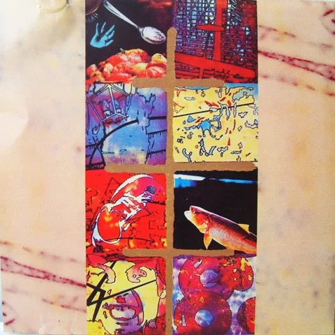 Signos - Foto 3 de 5