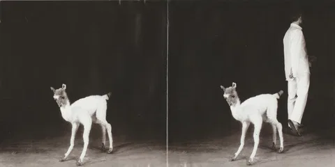 Daily Lama - Foto 3 de 7