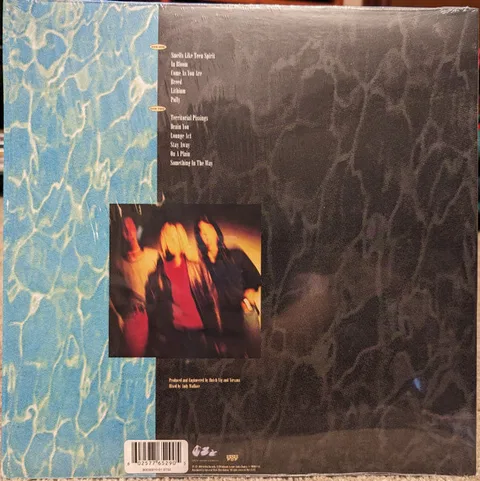Nevermind - Foto 2 de 8