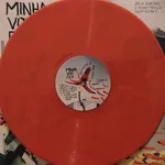 Minha Voz Fica (Zelia Duncan E Pedro Franco Tocam Alzira E) - Foto 5 de 11