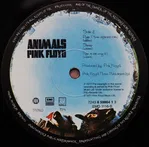 Animals - Foto 4 de 11