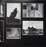 Animals - Foto 8 de 11