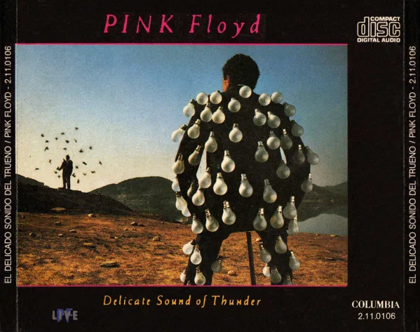 Delicate Sound Of Thunder