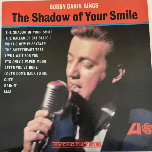The Shadow of Your Smile