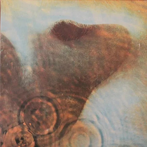 Meddle