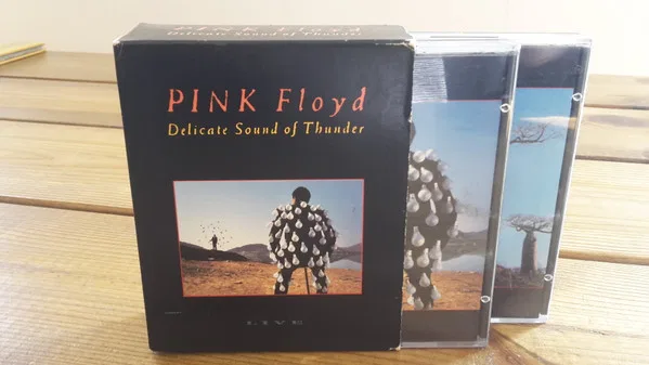 Delicate Sound of Thunder