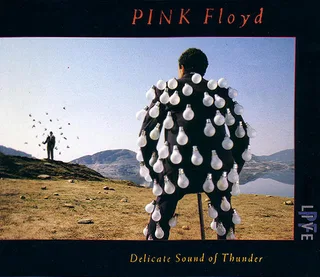 Delicate Sound Of Thunder