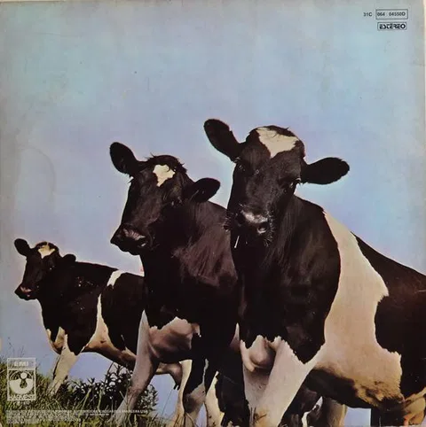 Atom Heart Mother - Foto 2 de 4