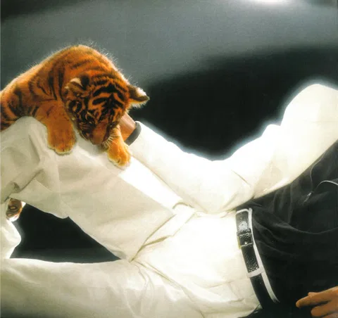 Thriller - Foto 2 de 11